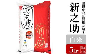 yӂ邳Ɣ[Łzyߘa7NYVāzVV  5kg VFؓʍ͔|  VY AO[z}[Y0366]y V s z