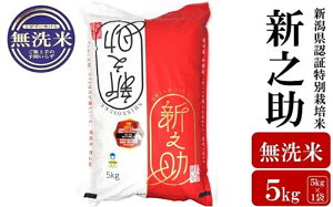 yӂ邳Ɣ[Łzyߘa7NYVāzVV  5kg VFؓʍ͔|  VY AO[z}[Y0537]y V s z