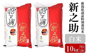 yӂ邳Ɣ[Łzyߘa7NYVāzVV  10kgi5kg×2܁jVFؓʍ͔|  VY AO[z}[Y0368]y V s z