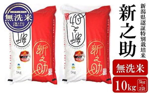 yӂ邳Ɣ[Łzyߘa7NYVāzVV  10kgi5kg×2܁jVFؓʍ͔|  VY AO[z}[Y0538]y V s z