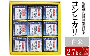 yӂ邳Ɣ[Łzyߘa7NYVāzVFؓʍ͔| RVqJ  2.7kgi300g×9܁jAO[z}[Y0384]y V s z