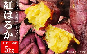 yӂ邳Ɣ[Łzys\E11甭z܂ g͂邩 5kg VY ͂܂낤yʁEԌz[ZB569]y V s z