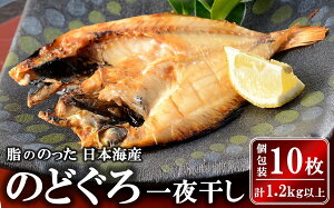 yӂ邳Ɣ[Łẑǂ銱  ̂̂{CY 10iv 1.2kgȏj C̍KWy V s z