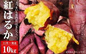 yӂ邳Ɣ[Łzys\E11`z܂ g͂邩 10kg VY ͂܂낤yʁEԌz[ZF323]y V s z