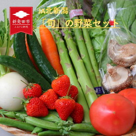 【ふるさと納税】 旬の野菜セット おまかせ 詰め合わせ アスパラガス トマト かぶ JA北新潟 野菜セット 直売所 食育ソムリエ 旬 新潟県 新発田市 C08