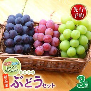 yӂ邳Ɣ[Łz 2026Ns\ Ԃǂ Zbg 3 Ԃǂ lߍ킹 Zbg VC}XJbg sI[l NCj[i ʕ  t[c  uhE Ԃǂ }XJbg VC 