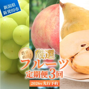 yӂ邳Ɣ[Łz 2026N s\ ʕ  S3 VC}XJbg  N`F miV EN`F Ԃǂ  t[c V Vc takahashi004