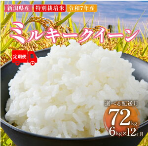 yӂ邳Ɣ[Łz ߘa7NY ~L[NC[ Iׂ 2kg 4kg 6kg 10kg Pi  6 12       ɂ ٓ VY VY VcY ~L[NC[ X؍kN