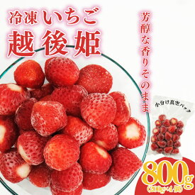 【ふるさと納税】 冷凍いちご 越後姫 800g 200g × 4パック 越後姫 いちご 苺 冷凍苺 かき氷 シャーベット スムージー ヨーグルト ストロベリー 果物 くだもの 人気 冷凍フルーツ フルーツ デザート お菓子 夏 新潟県 新発田市 imagawaya017