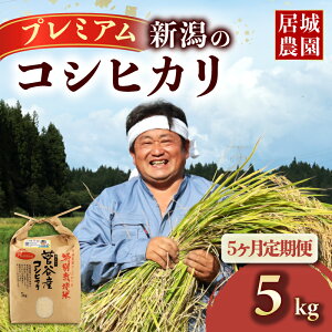 yӂ邳Ɣ[Łz RVqJ v~A  5kg 10kg ߘa7NY  V Iׂ z e ʍ͔| Ђ v~ARVqJ    ɂ VY VcY 