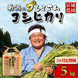 yӂ邳Ɣ[Łz RVqJ v~A  5kg 10kg ߘa7NY  V Iׂ z e ʍ͔| Ђ v~ARVqJ    ɂ VY VcY 