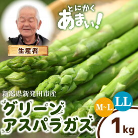 【ふるさと納税】 アスパラガス 選べる 太さ 1kg LL or M~L アスパラ 甘い 太い 柔らかい 新潟 新発田 朝採り 新鮮 野菜 グリーンアスパラガス グリーンタワー 春野菜 特産品 旬 肉 巻き 朝採れ 産地直送 農家 菅谷 新潟県 新発田市 蔵光グリーンファーム kuramitsu003P
