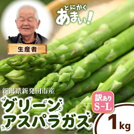 【ふるさと納税】 訳あり アスパラガス S~Lサイズ 1kg アスパラ 甘い 太い 柔らかい 新潟 新発田 新鮮 野菜 グリーンアスパラガス グリーンタワー 夏野菜 特産品 旬 肉 巻き 朝採れ 産地直送 農家 菅谷 ワケあり 細め 新潟県 新発田市 蔵光グリーンファーム kuramitsu005
