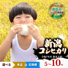 【ふるさと納税】 R7年産先行予約 新米 新潟県産コシヒカリ 選べる 配送月 容量 単品 定期便 5kg 10kg 3回 6回 特別栽培米 コシヒカリ 新潟県 新発田市 米 コシヒカリ コンテスト 入賞 四代目 悠助 ふるさと納税米定期便 ふるさと納税お米定期便 新潟 新発田 D71P