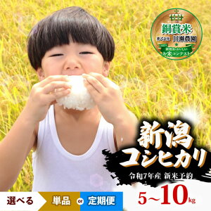 yӂ邳Ɣ[Łz R7NYs\ V VYRVqJ Iׂ z e Pi  5kg 10kg 3 6 ʍ͔| RVqJ V Vcs  RVqJ ReXg  l I