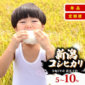 【ふるさと納税】 R7年産先行予約 新米 新潟県産コシヒカリ 選べる 配送月 容量 単品 定期便 5kg 10kg 3回 6回 特別栽培米 コシヒカリ 新潟県 新発田市 米 コシヒカリ コンテスト 入賞 四代目 悠助 新潟 新発田 D71P