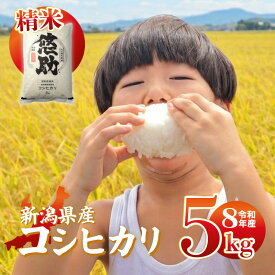 【ふるさと納税】 7年 8年 新潟県産 コシヒカリ こしいぶき 新之助 選べる 配送月 容量 4kg 5kg 10kg 20kg 単品 定期便 5kg 10kg 3回 6回 精米 無洗米 四代目 悠助 コンテスト入賞 米 新米 定期便 新発田 新潟 D71P