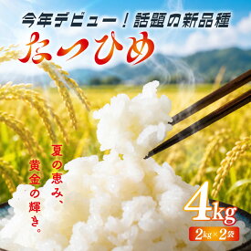 【ふるさと納税】 新米 新潟県産 コシヒカリ こしいぶき 新之助 なつひめ 8年産 選べる 配送時期 容量 4kg 5kg 10kg 20kg 単品 定期便 3回 6回 精米 四代目 悠助 コンテスト入賞 米 新発田 新潟 D71P