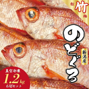 yӂ邳Ɣ[Łz mhO 6 1.2kg ȏ 1 200gȏ V {CY  VN ^ }Ⓚ Ⓚ  {C VY Y |~y|zuomizushima004