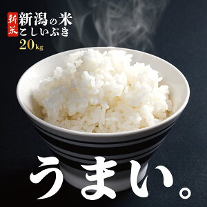 yӂ邳Ɣ[Łz Ԃ 10kg 20kg RVqJ ̈`qp ߘa7NY s\ Ђ  ~ R    ܂ VY V V V Vc Vcs Y