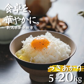 【ふるさと納税】 つきあかり 5kg 10kg 20kg 選べる 令和7年産 コシヒカリ こしひかり 同等以上の食味 ご飯 備蓄 コメ お米 米 こめ しんまい 新潟産 新潟米 新潟県 新潟 新発田 新発田市 国産 新発田市産 斗伸 toushin036 toushin037 toushin038