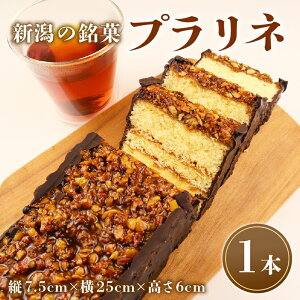 yӂ邳Ɣ[Łz vl 1{ `Rvl `R[g `RP[L A[h P[L fU[g L[ V ̓  l  َq yY mَq Yi  