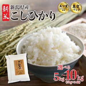 yӂ邳Ɣ[Łz Ђ Iׂ z e 5kg 10kg (5kg×2) ߘa7NY ^pbN V VY VcY RVqJ ~  h ۑ AEghA ͂     V