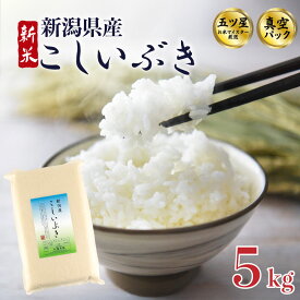 【ふるさと納税】こしいぶき 5kg 10kg （5kg×2袋）選べる 配送月 容量令和7年産 五つ星お米マイスター 真空パック 米 新米 新発田産 備蓄 非常 防災 長期保存 アウトドア ごはん ご飯 お米 こめ 新潟県 新発田市 新潟県産 三糧 sanryo013P