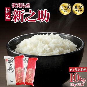 �y�ӂ邳�Ɣ[�Łz ���ł��V�N�^��p�b�N�I �V�V�� 5kg 10kg (5kg×2��) 30kg 60kg �I�ׂ� �z���� �P�i ����� �ߘa7�N�Y �܂����ă}�C�X�^�[ �^��p�b�N �� �V�� ���~ ��� �h�� �����ۑ� ���͂� 