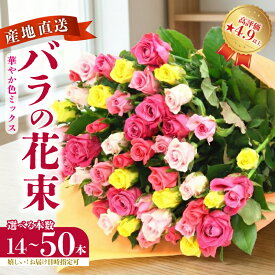 【ふるさと納税】 ★4.94 バラの花束 選べる本数 14本〜50本 色おまかせ 生産者直送 日時指定可 おまかせ バラ プレゼント 生花 花束 フラワーアレンジメント 花 記念日 母の日 父の日 ギフト クリスマス プロポーズ plan001_01 G01_03 G03_01