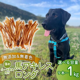 【ふるさと納税】 ドッグフード 馬アキレスロング 薄め 選べる容量 9本〜1kg 【 馬 ドックフード アキレス ロング ペット おやつ ペット用品 犬用 無添加 無着色 安心 安全 自然食品 ケーティーコモディティ KT 新潟県 新発田市 KT001P 】