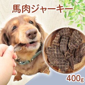 yӂ邳Ɣ[Łz hbOt[h nW[L[ Iׂe 100g`400g n hbNt[h W[L[ ybg  ybgpi p Y F  S S RHi P[eB[