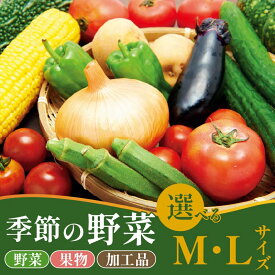 【ふるさと納税】 野菜 おすすめセット 選べる 容量 8〜12種 10〜15種 M L 詰め合わせ 加工品 常備菜 アスパラガス かぶ レタス 山菜 トマト きゅうり 枝豆 トウモロコシ なす オクラ かぼちゃ たまねぎ 里芋 さつまいも 長芋 ごぼう ねぎ にんじん 干柿 新潟 新発田 季節
