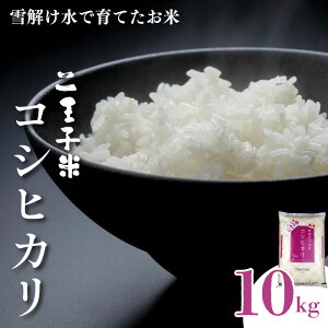 yIׂeʁzߘa7NY VY RVqJ 5kg 10kg ʌ ʍ͔|    Ђ 񉤎q    ɂ ٓ  ƂƂs uh lC  V