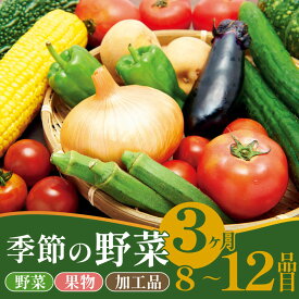 【ふるさと納税】 野菜 定期便 3回 8〜12種類 旬 おまかせ 野菜BOX 詰め合わせ 野菜定期便 ふるさと納税野菜 やさい 詰め合わせ セット 産地直送 新鮮 新潟 新発田 seida009_01