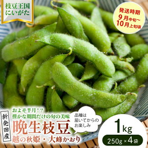 yӂ邳Ɣ[Łz MdȎ}I Ӑiāj} 1kg y ʌ 1.0kg }  VY ܂ Ӑ seida024 z