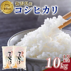 yӂ邳Ɣ[Łz ߘa7NY RVqJ Iׂe 5~10kg Pi z VY 5kg 10kg ĕs V V VcY Vc    RVqJ Vct@[ ʌ Vct