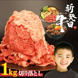 yӂ邳Ɣ[Łz ؂藎Ƃ 250g 500g 1kg Iׂ e  a ~ јa uh Vc Y Ԃ Ԑ؂ V Vcs V Vc ArbNX Ar