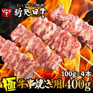yӂ邳Ɣ[Łz  100g×4{ Vc Ă a uh јa Y ē Ă ₫ɂ V Vcs o[xL[ BBQ Lv Ⓚ ArbNX ArbNXV 