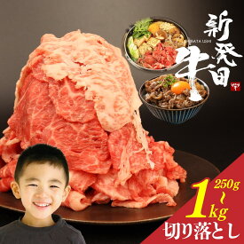 【ふるさと納税】 切り落とし 250g 500g 1kg 年内発送 選べる 容量 牛肉 和牛 霜降り 黒毛和牛 ブランド牛 新発田牛 国産牛 しゃぶしゃぶ 小間切れ 新潟県 新発田市 新潟 新発田 近江牛 神戸牛 松阪牛 米沢牛 三大和牛 に負けない えのもとミート