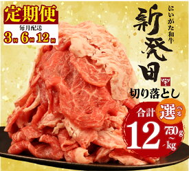 【ふるさと納税】 切り落とし 牛肉 定期便 選べる 量 配送 回数 3回 6回 12回 肉 和牛 霜降り ブランド牛 新発田牛 にいがた和牛 国産 小分け 小間切れ 簡単 近江牛 神戸牛 松阪牛 米沢牛 に負けない 新発田市 新発田 えのもとミート enomoto023P