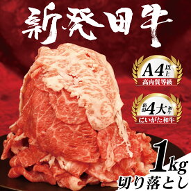 【ふるさと納税】 切り落とし 250g 500g 1kg 選べる 容量 牛肉 和牛 霜降り 黒毛和牛 ブランド牛 新発田牛 国産牛 しゃぶしゃぶ 小間切れ 新潟県 新発田市 新潟 新発田 えのもとミート