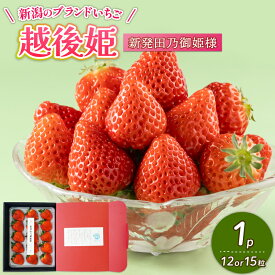 【ふるさと納税】 【2026年1月中旬発送開始】 いちご 越後姫 1パック 【 果物 いちご おやつ 健康 フルーツ スイーツ スイーツ作り ケーキ ケーキ作り 数量限定 先行予約 新潟県 新発田市 shibatafarm001 】