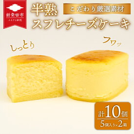 【ふるさと納税】 半熟スフレ チーズケーキ10個 5個入り 2箱 贈答 父の日 ギフト おすすめ 菜菓亭 新潟銘菓 新潟 新発田 いえい 菜菓亭 洋菓子 お歳暮 iei001_02