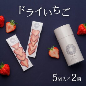 【ふるさと納税】 先行予約 ドライいちご 10袋 国産 スライス 小分け 常温 越後姫 フルーツ 果物 ドライ いちご 苺 ドライフルーツ 贈答 プレゼント ギフト おつまみ Ichi-Rin 苺禀 新潟県 新発田市 J01_01