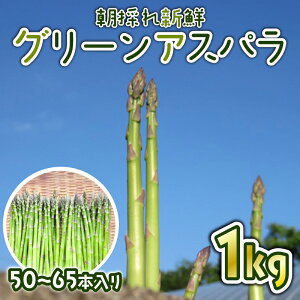 yӂ邳Ɣ[Łz ys\z ߘa8NY AXp VN ̂ 1kg (50~65{) ̂ VN AXpKX Â _炩   x[R  Yi  t _ V V V