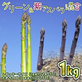【ふるさと納税】 【先行予約】 令和8年産 アスパラ 新鮮 朝採り 1kg アスパラガス サイズ レギュラー 紫 太め 混合 朝採れ 新鮮 甘い 柔らかい 肉 巻き ベーコン 巻き お弁当 弁当 特産品 野菜 春野菜 星野農園 新潟 新潟県 新発田産 新発田市 hoshino002
