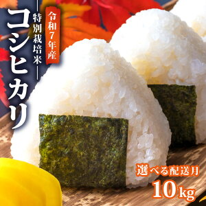 yӂ邳Ɣ[Łz s\ ߘa7NY V ʍ͔| RVqJ Iׂ z 5kg 10kg _ ͕ VYRVqJ VcY V ӂ邳Ɣ[   AOU V Vcs