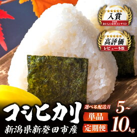 【ふるさと納税】 ★レビュー高評価★ 令和7年産 コシヒカリ 5kg 10kg 選べる 単品・定期便 配送月 3か月 減農薬 特栽米 新潟県産コシヒカリ 新発田産 新潟 ふるさと納税 米 お米 玄米 対応可 アグリ中俵 新潟県 新発田市 nakatawara001P