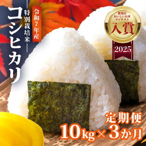 �y�ӂ邳�Ɣ[�Łz ���r���[���]�� �ߘa7�N�Y �R�V�q�J�� 5kg 10kg �I�ׂ� �P�i�E����� �z���� 3���� ���_�� ���͕� �V�����Y�R�V�q�J�� �V���c�Y �V�� �ӂ邳�Ɣ[�� �� ���� �A�O�����U �V����